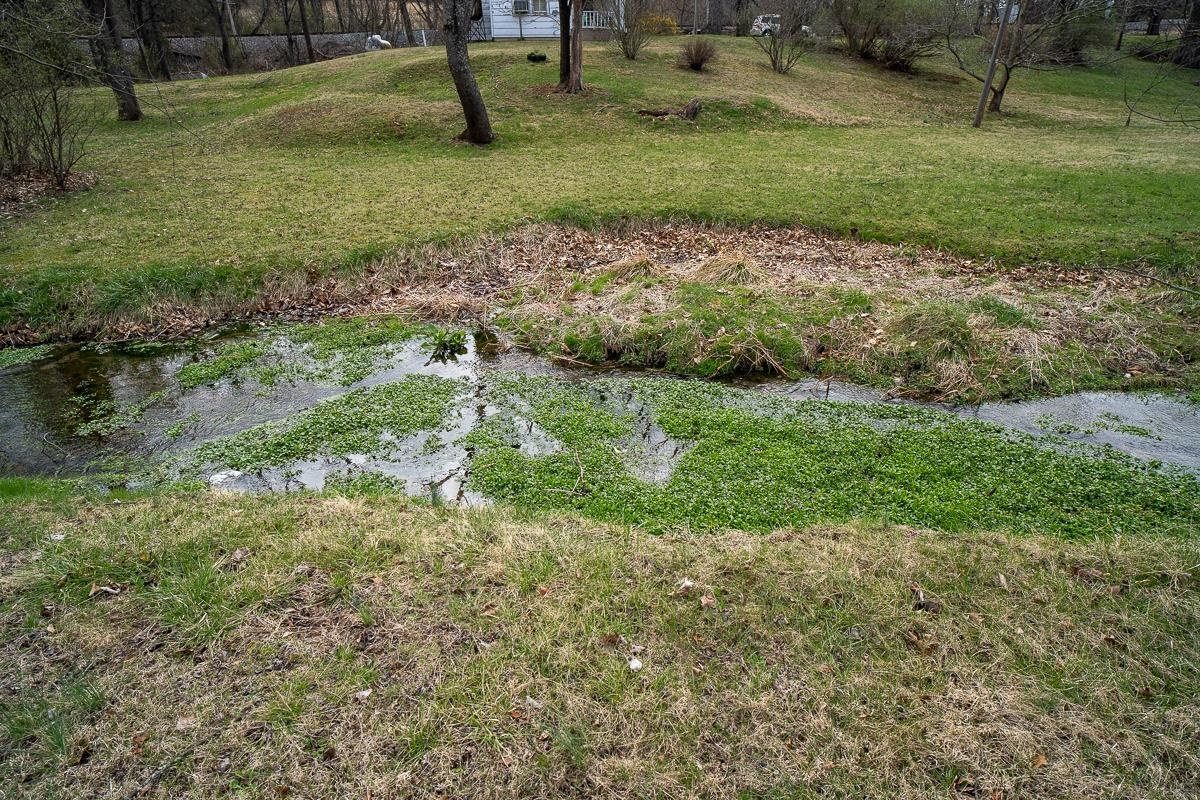 537 STRAITH ST, STAUNTON, Virginia 24401, 3 Bedrooms Bedrooms, ,1 BathroomBathrooms,Residential,537 STRAITH ST,674618 MLS # 674618