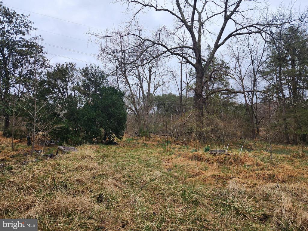 8228 FLIPPO DR, FREDERICKSBURG, Virginia 22408, ,Land,8228 FLIPPO DR,VASP2039932 MLS # VASP2039932