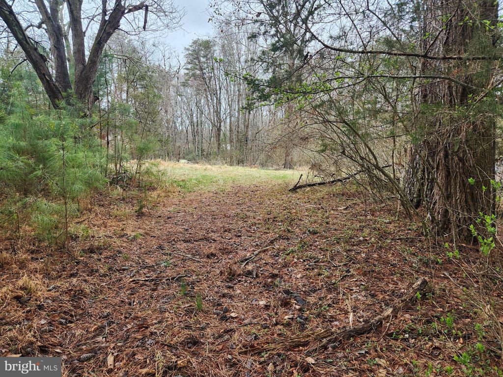 8228 FLIPPO DR, FREDERICKSBURG, Virginia 22408, ,Land,8228 FLIPPO DR,VASP2039932 MLS # VASP2039932