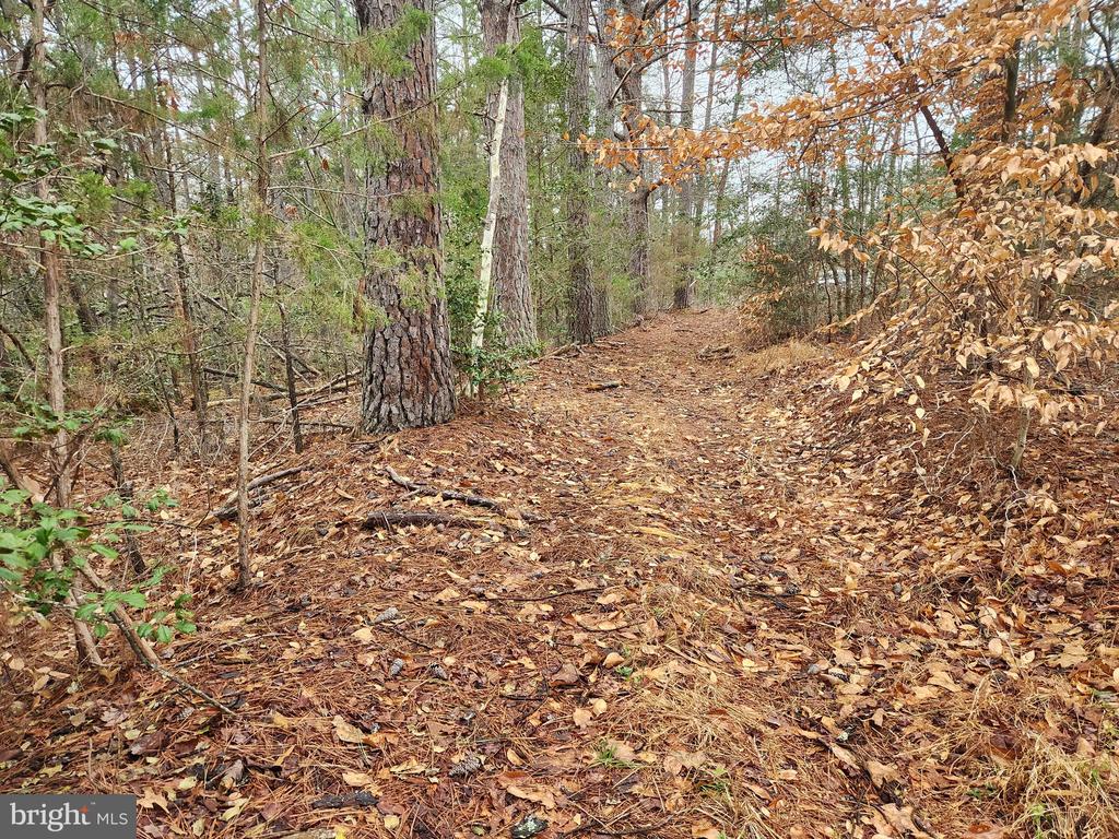 8228 FLIPPO DR, FREDERICKSBURG, Virginia 22408, ,Land,8228 FLIPPO DR,VASP2039932 MLS # VASP2039932