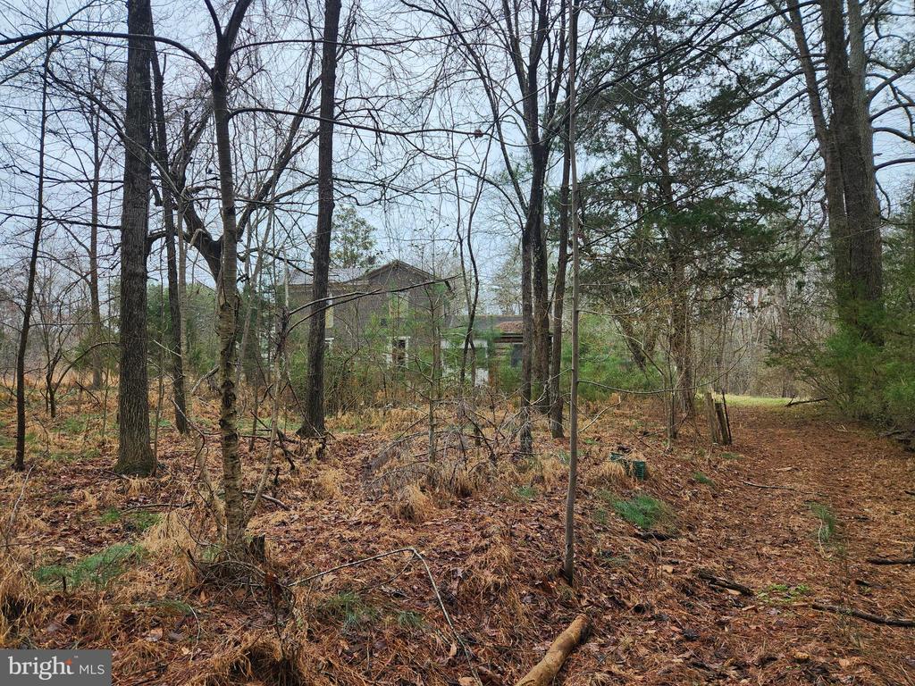 8228 FLIPPO DR, FREDERICKSBURG, Virginia 22408, ,Land,8228 FLIPPO DR,VASP2039932 MLS # VASP2039932