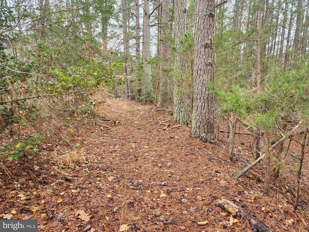 8228 FLIPPO DR, FREDERICKSBURG, Virginia 22408, ,Land,8228 FLIPPO DR,VASP2039932 MLS # VASP2039932