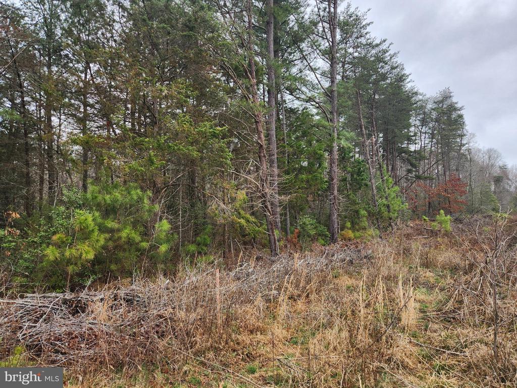 8228 FLIPPO DR, FREDERICKSBURG, Virginia 22408, ,Land,8228 FLIPPO DR,VASP2039932 MLS # VASP2039932