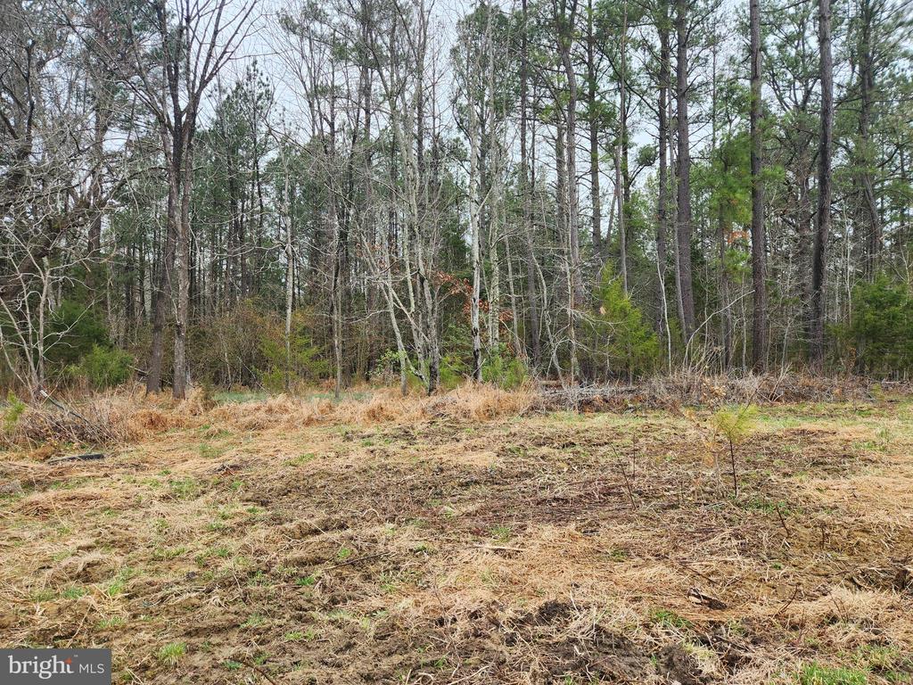 8228 FLIPPO DR, FREDERICKSBURG, Virginia 22408, ,Land,8228 FLIPPO DR,VASP2039932 MLS # VASP2039932