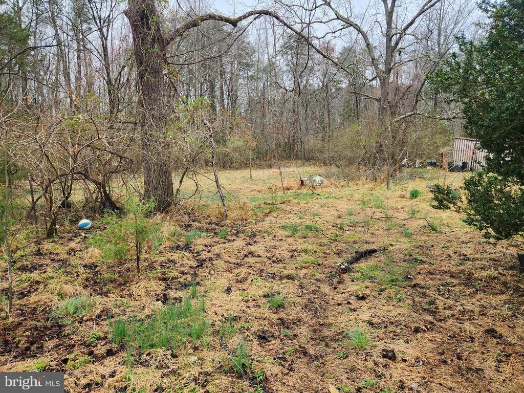 8228 FLIPPO DR, FREDERICKSBURG, Virginia 22408, ,Land,8228 FLIPPO DR,VASP2039932 MLS # VASP2039932