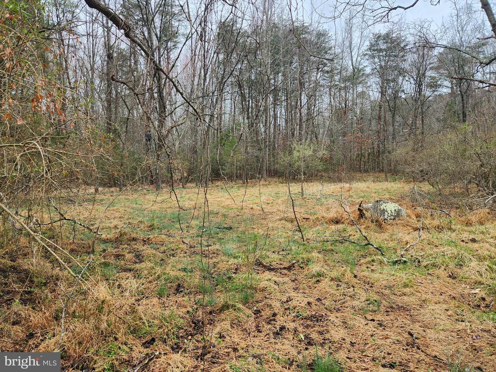 8228 FLIPPO DR, FREDERICKSBURG, Virginia 22408, ,Land,8228 FLIPPO DR,VASP2039932 MLS # VASP2039932