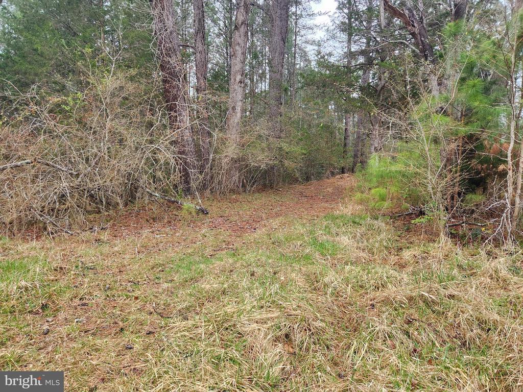 8228 FLIPPO DR, FREDERICKSBURG, Virginia 22408, ,Land,8228 FLIPPO DR,VASP2039932 MLS # VASP2039932