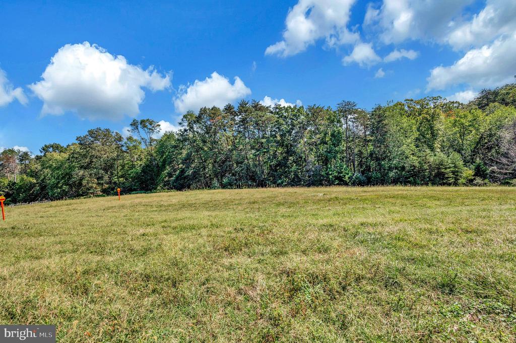 31934 INDIANTOWN RD, LOCUST GROVE, Virginia 22508, ,Land,31934 INDIANTOWN RD,VAOR2013622 MLS # VAOR2013622