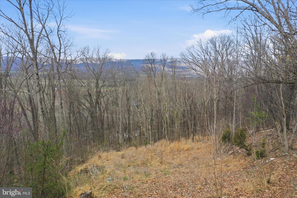 509 RIVER VIEW PL, SHENANDOAH, Virginia 22849, ,Land,509 RIVER VIEW PL,VAPA2005964 MLS # VAPA2005964 509 RIVER VIEW PL, SHENANDOAH, Virginia 22849, ,Land,509 RIVER VIEW PL,VAPA2005964 MLS # VAPA2005964