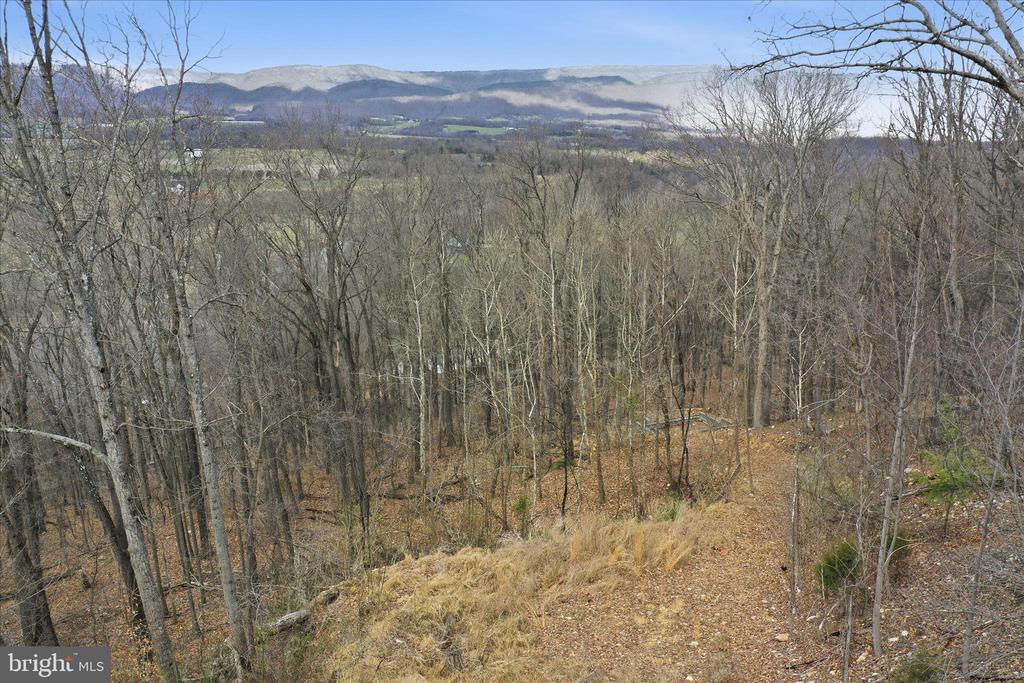 509 RIVER VIEW PL, SHENANDOAH, Virginia 22849, ,Land,509 RIVER VIEW PL,VAPA2005964 MLS # VAPA2005964 509 RIVER VIEW PL, SHENANDOAH, Virginia 22849, ,Land,509 RIVER VIEW PL,VAPA2005964 MLS # VAPA2005964