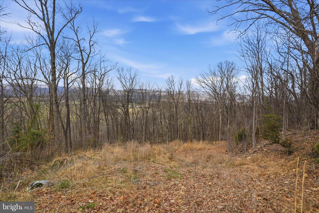 509 RIVER VIEW PL, SHENANDOAH, Virginia 22849, ,Land,509 RIVER VIEW PL,VAPA2005964 MLS # VAPA2005964 509 RIVER VIEW PL, SHENANDOAH, Virginia 22849, ,Land,509 RIVER VIEW PL,VAPA2005964 MLS # VAPA2005964