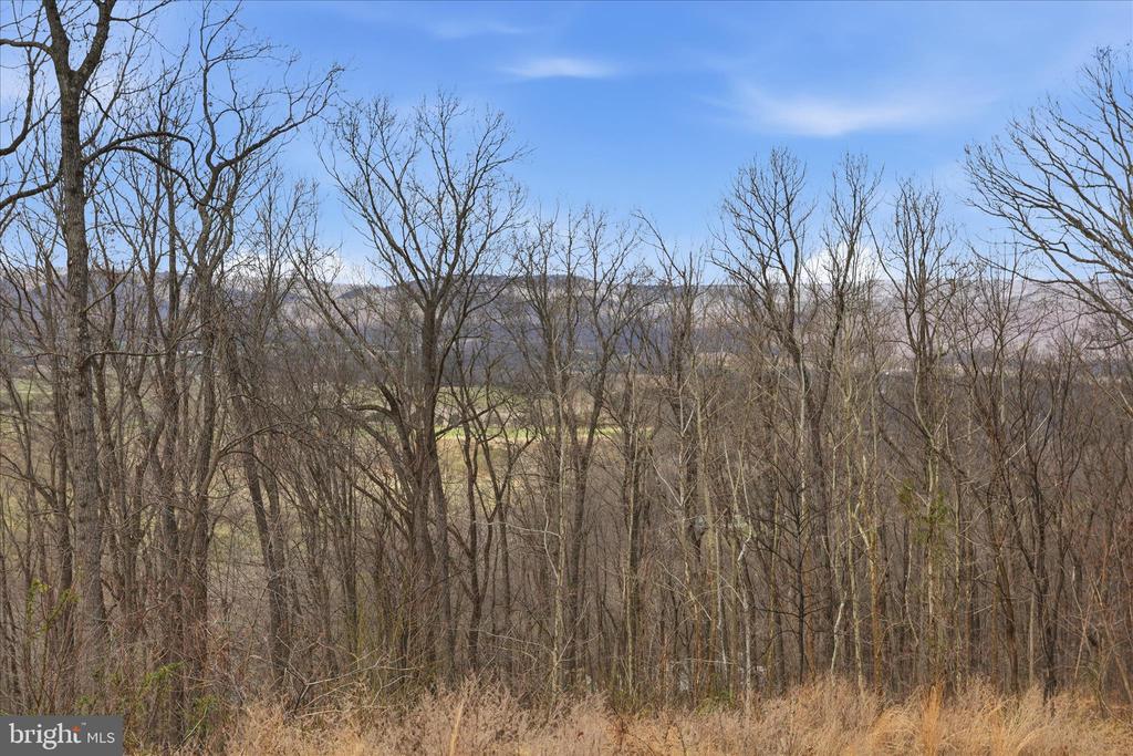 509 RIVER VIEW PL, SHENANDOAH, Virginia 22849, ,Land,509 RIVER VIEW PL,VAPA2005964 MLS # VAPA2005964 509 RIVER VIEW PL, SHENANDOAH, Virginia 22849, ,Land,509 RIVER VIEW PL,VAPA2005964 MLS # VAPA2005964