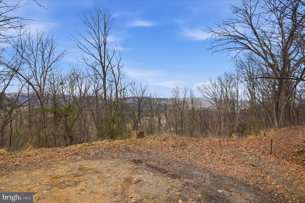 509 RIVER VIEW PL, SHENANDOAH, Virginia 22849, ,Land,509 RIVER VIEW PL,VAPA2005964 MLS # VAPA2005964 509 RIVER VIEW PL, SHENANDOAH, Virginia 22849, ,Land,509 RIVER VIEW PL,VAPA2005964 MLS # VAPA2005964