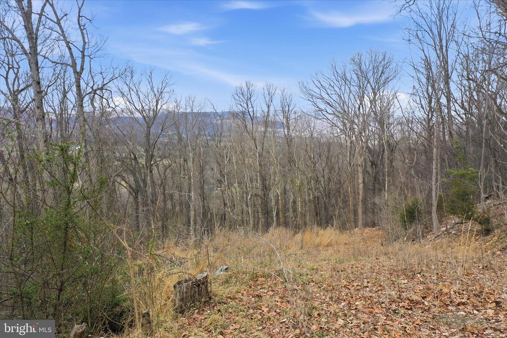 509 RIVER VIEW PL, SHENANDOAH, Virginia 22849, ,Land,509 RIVER VIEW PL,VAPA2005964 MLS # VAPA2005964 509 RIVER VIEW PL, SHENANDOAH, Virginia 22849, ,Land,509 RIVER VIEW PL,VAPA2005964 MLS # VAPA2005964