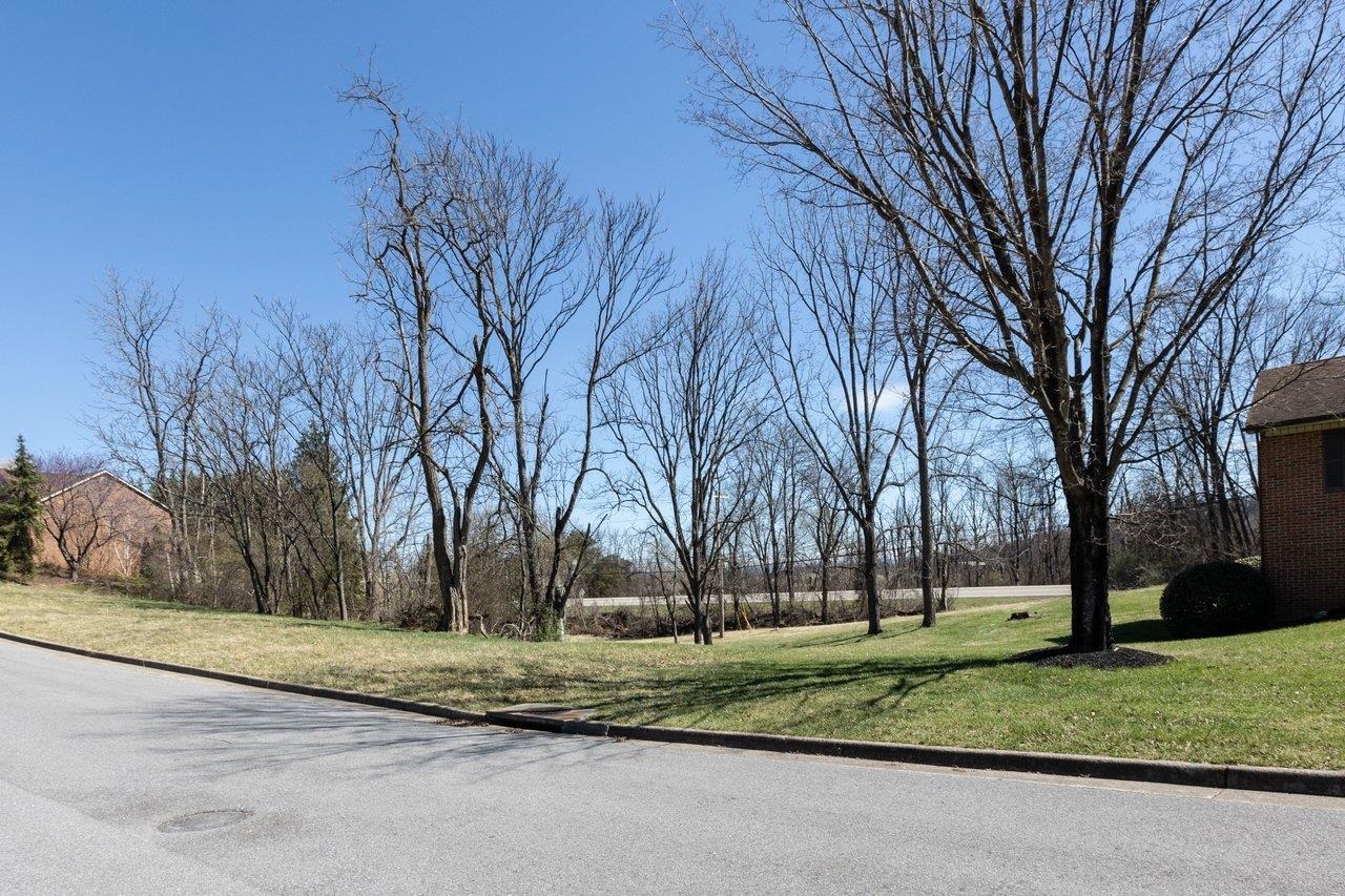 810 LAMMERMOOR DR, STAUNTON, Virginia 24401, ,Land,810 LAMMERMOOR DR,674638 MLS # 674638