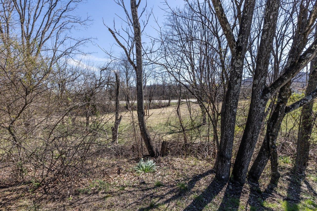 810 LAMMERMOOR DR, STAUNTON, Virginia 24401, ,Land,810 LAMMERMOOR DR,674638 MLS # 674638