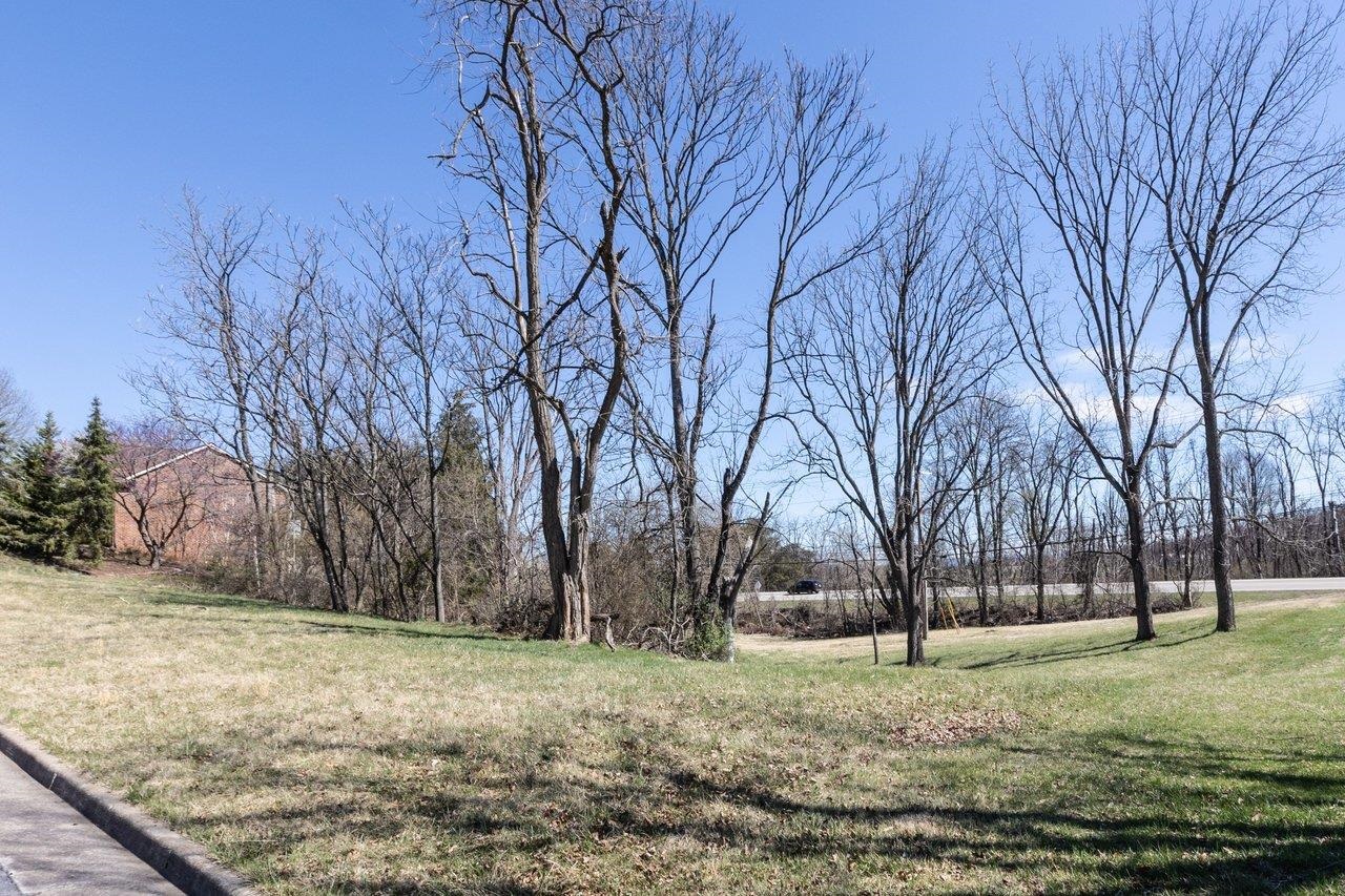 810 LAMMERMOOR DR, STAUNTON, Virginia 24401, ,Land,810 LAMMERMOOR DR,674638 MLS # 674638