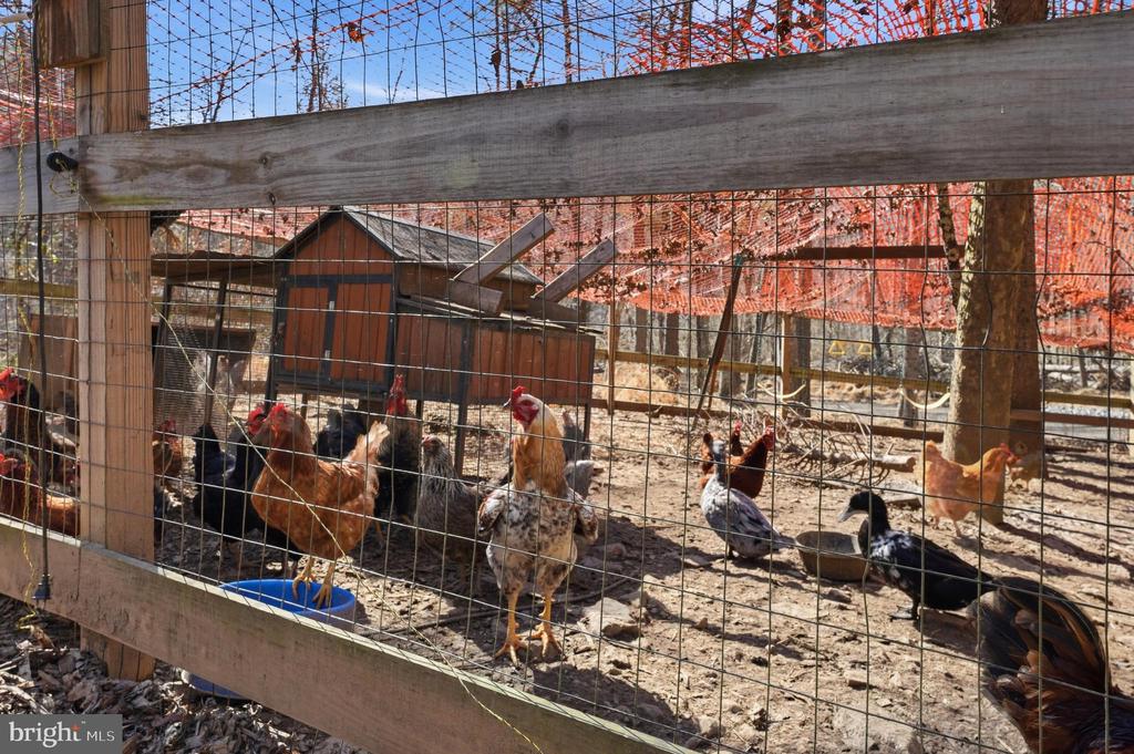 5276 FREE STATE RD, MARSHALL, Virginia, 3 Bedrooms Bedrooms, ,2 BathroomsBathrooms,Residential,5276 FREE STATE RD,VAFQ2020890 MLS # VAFQ2020890