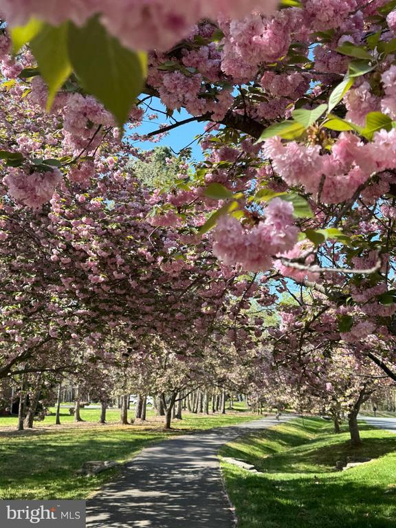 11612 LONGSTREET DR, SPOTSYLVANIA, Virginia 22551, 4 Bedrooms Bedrooms, ,5 BathroomsBathrooms,Residential,FAWN LAKE COMMUNITY ASSOC,11612 LONGSTREET DR,VASP2040202 MLS # VASP2040202 11612 LONGSTREET DR, SPOTSYLVANIA, Virginia 22551, 4 Bedrooms Bedrooms, ,5 BathroomsBathrooms,Residential,FAWN LAKE COMMUNITY ASSOC,11612 LONGSTREET DR,VASP2040202 MLS # VASP2040202