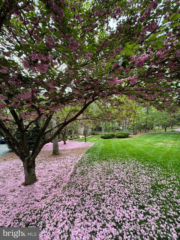 11612 LONGSTREET DR, SPOTSYLVANIA, Virginia 22551, 4 Bedrooms Bedrooms, ,5 BathroomsBathrooms,Residential,FAWN LAKE COMMUNITY ASSOC,11612 LONGSTREET DR,VASP2040202 MLS # VASP2040202 11612 LONGSTREET DR, SPOTSYLVANIA, Virginia 22551, 4 Bedrooms Bedrooms, ,5 BathroomsBathrooms,Residential,FAWN LAKE COMMUNITY ASSOC,11612 LONGSTREET DR,VASP2040202 MLS # VASP2040202