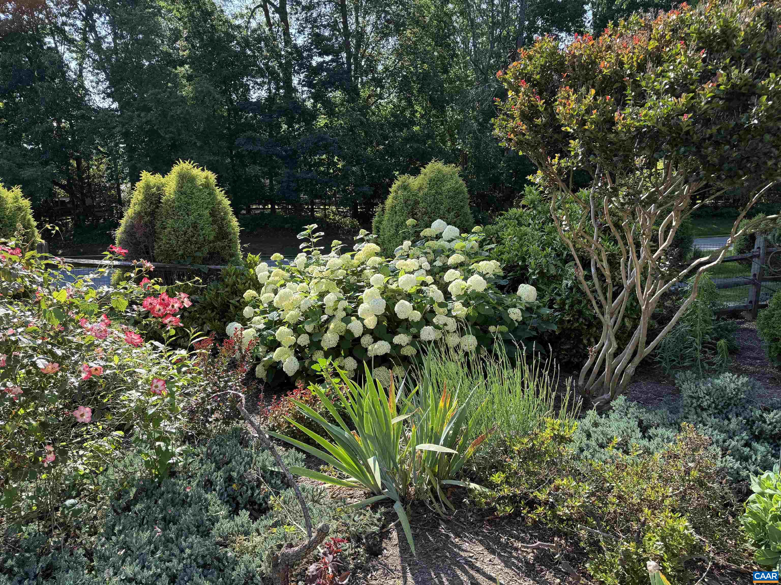 3206 POPLAR RIDGE RD, CHARLOTTESVILLE, Virginia 22911, 4 Bedrooms Bedrooms, ,2 BathroomsBathrooms,Residential,3206 POPLAR RIDGE RD,674561 MLS # 674561