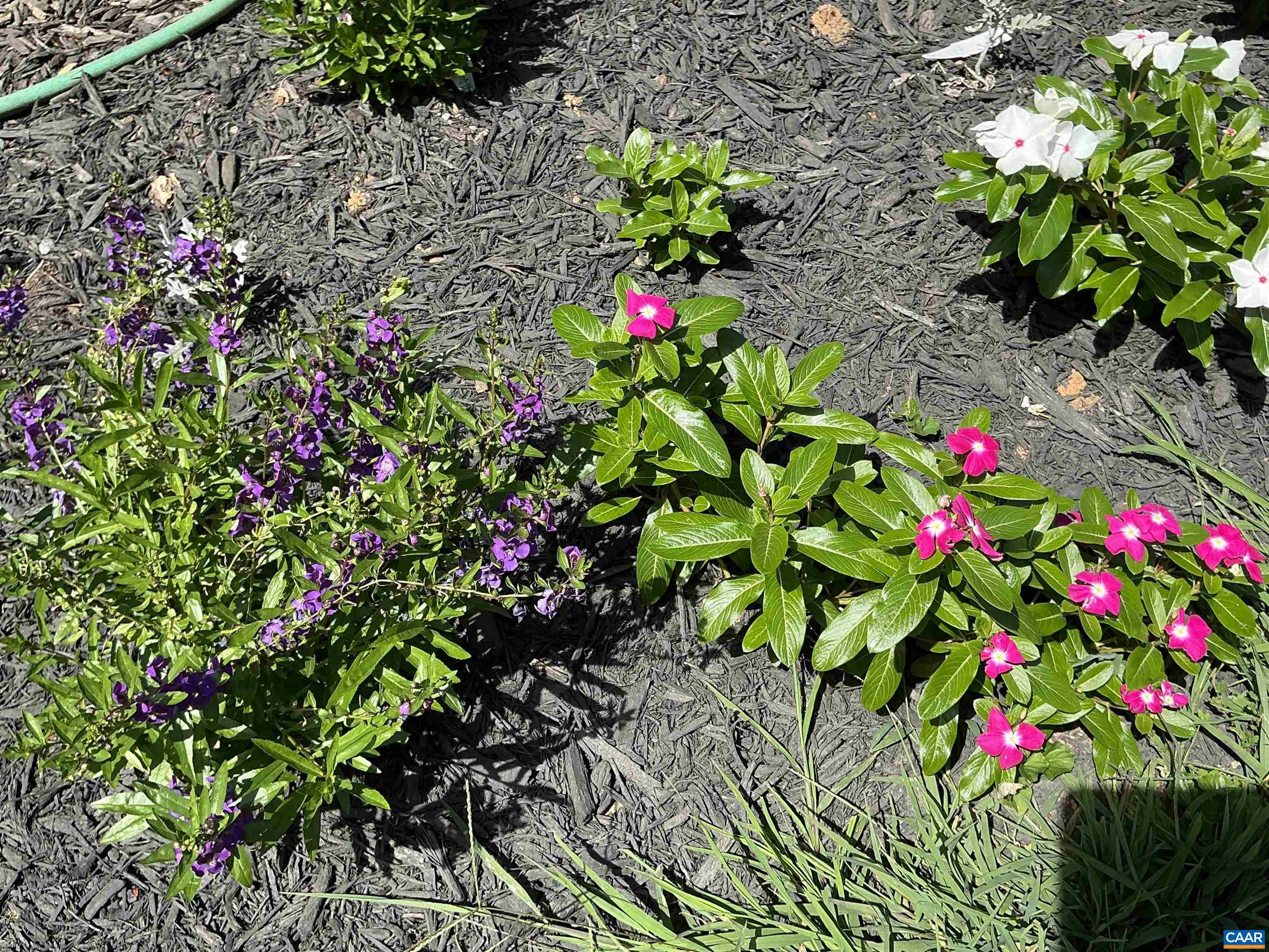 145 BUTLER LN, SCOTTSVILLE, Virginia 24590, 4 Bedrooms Bedrooms, ,3 BathroomsBathrooms,Residential,Home Sweet Home,145 BUTLER LN,674623 MLS # 674623