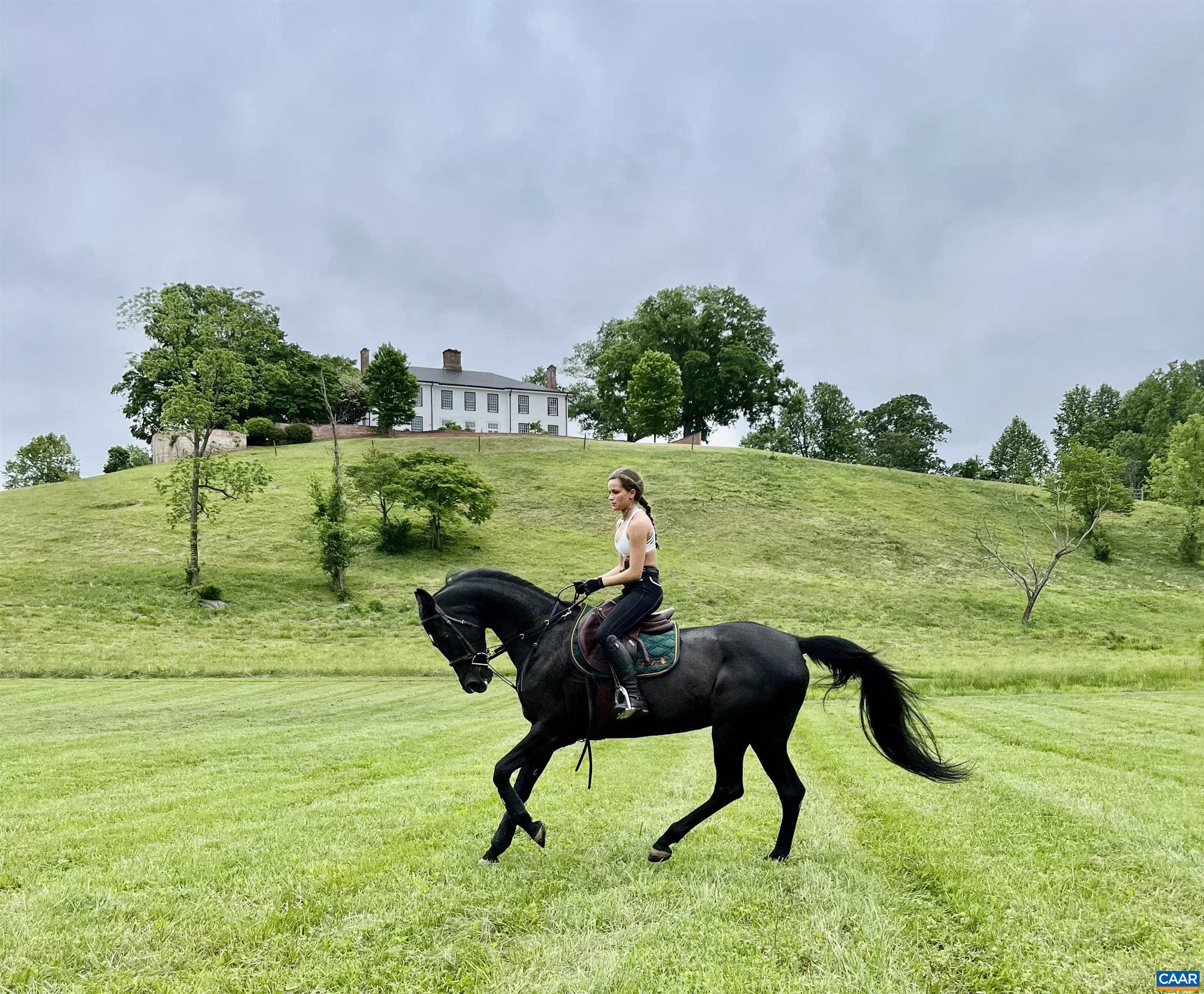 Lovely field for riding or a potential polo field.