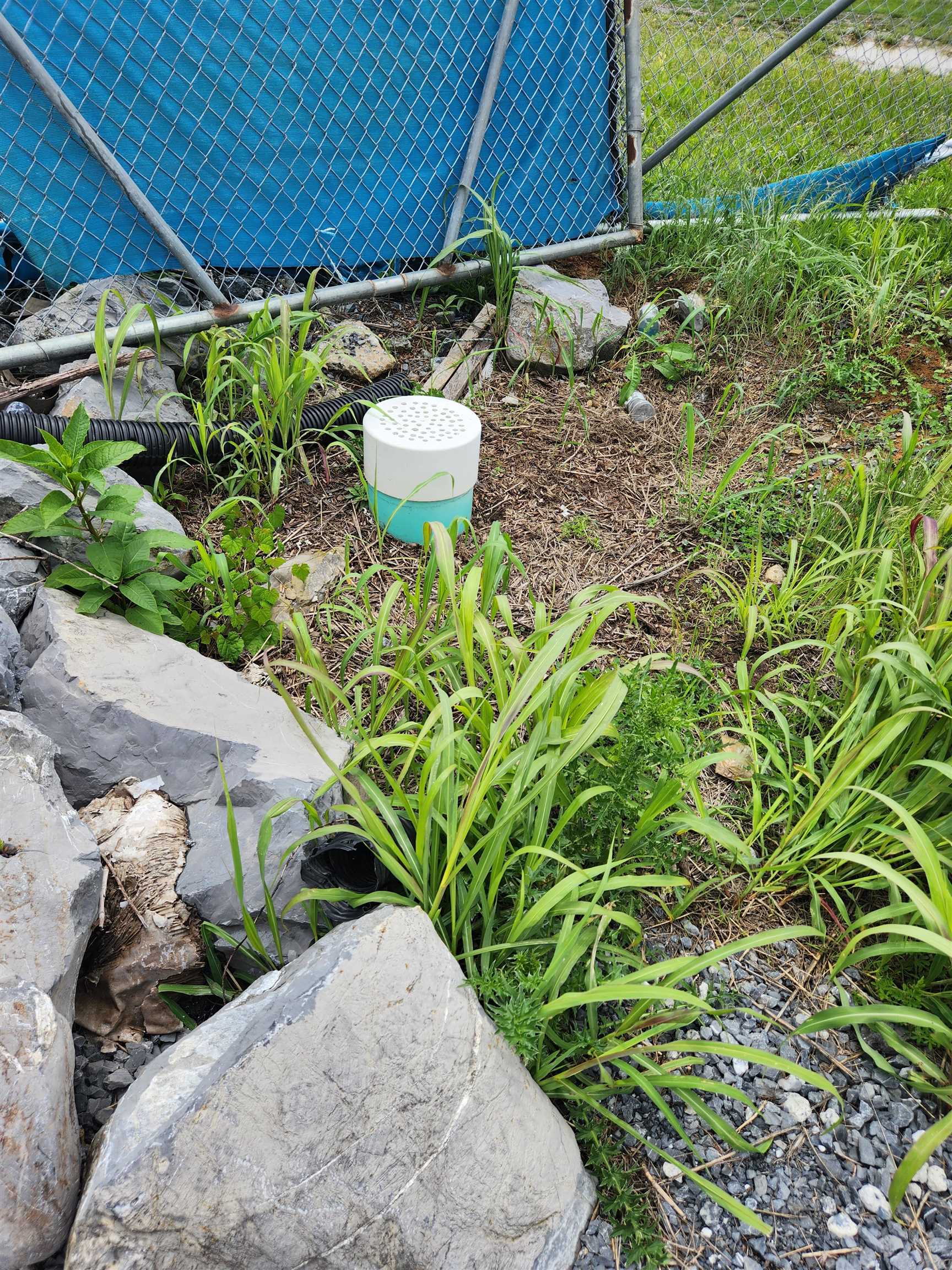 1207 N LIBERTY ST, HARRISONBURG, Virginia 22802, ,Commercial,1207 N LIBERTY ST,674673 MLS # 674673