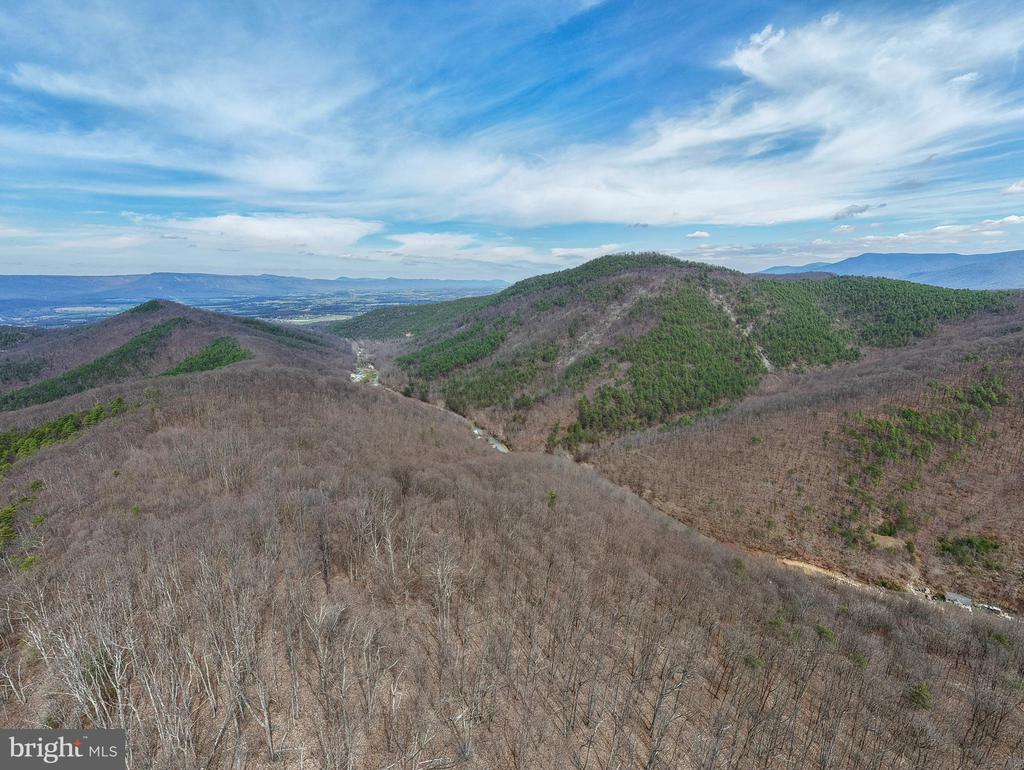 2382 LUCAS HOLLOW RD, STANLEY, Virginia 22851, ,Land,2382 LUCAS HOLLOW RD,VAPA2006198 MLS # VAPA2006198