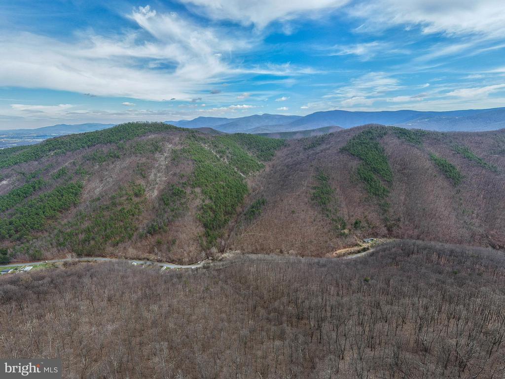 2382 LUCAS HOLLOW RD, STANLEY, Virginia 22851, ,Land,2382 LUCAS HOLLOW RD,VAPA2006198 MLS # VAPA2006198