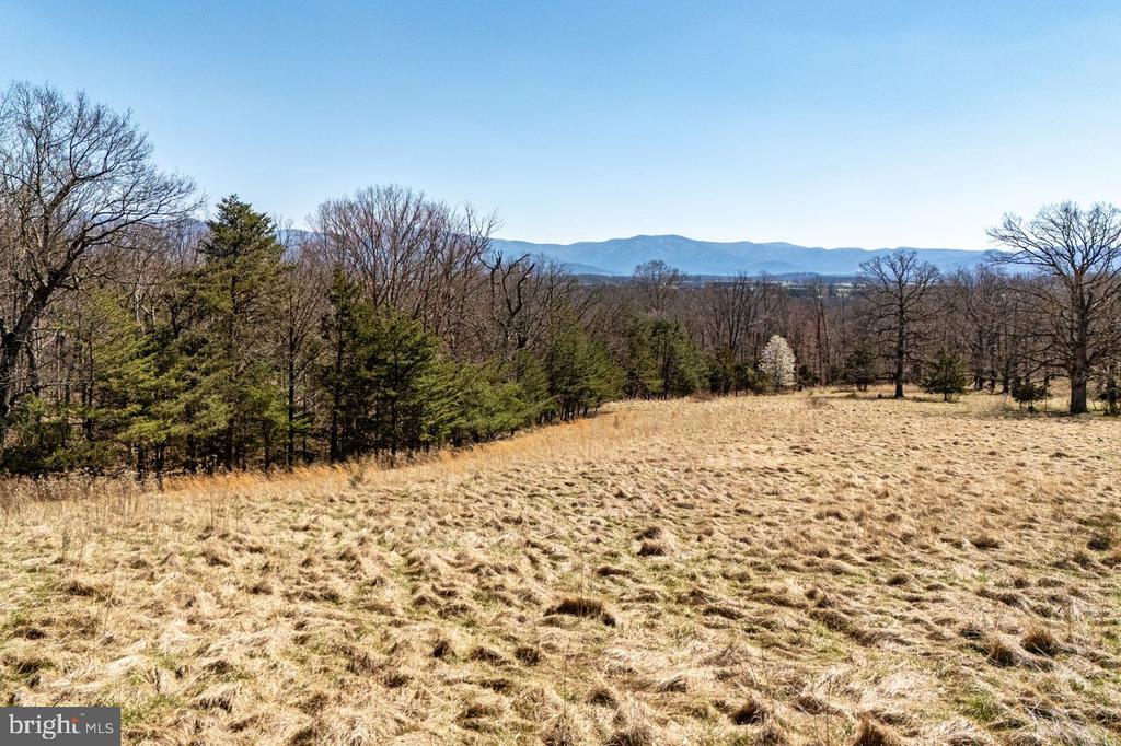 EGYPT BEND RD, LURAY, Virginia 22835, ,Land,EGYPT BEND RD,VAPA2006142 MLS # VAPA2006142