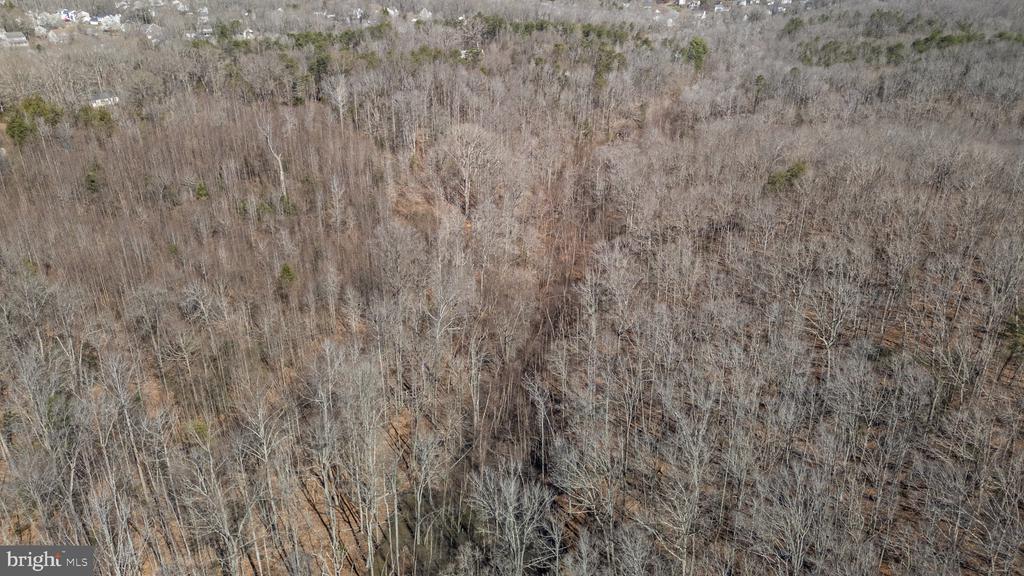 MASSAPONAX CHURCH RD, FREDERICKSBURG, Virginia 22408, ,Land,MASSAPONAX CHURCH RD,VASP2040196 MLS # VASP2040196