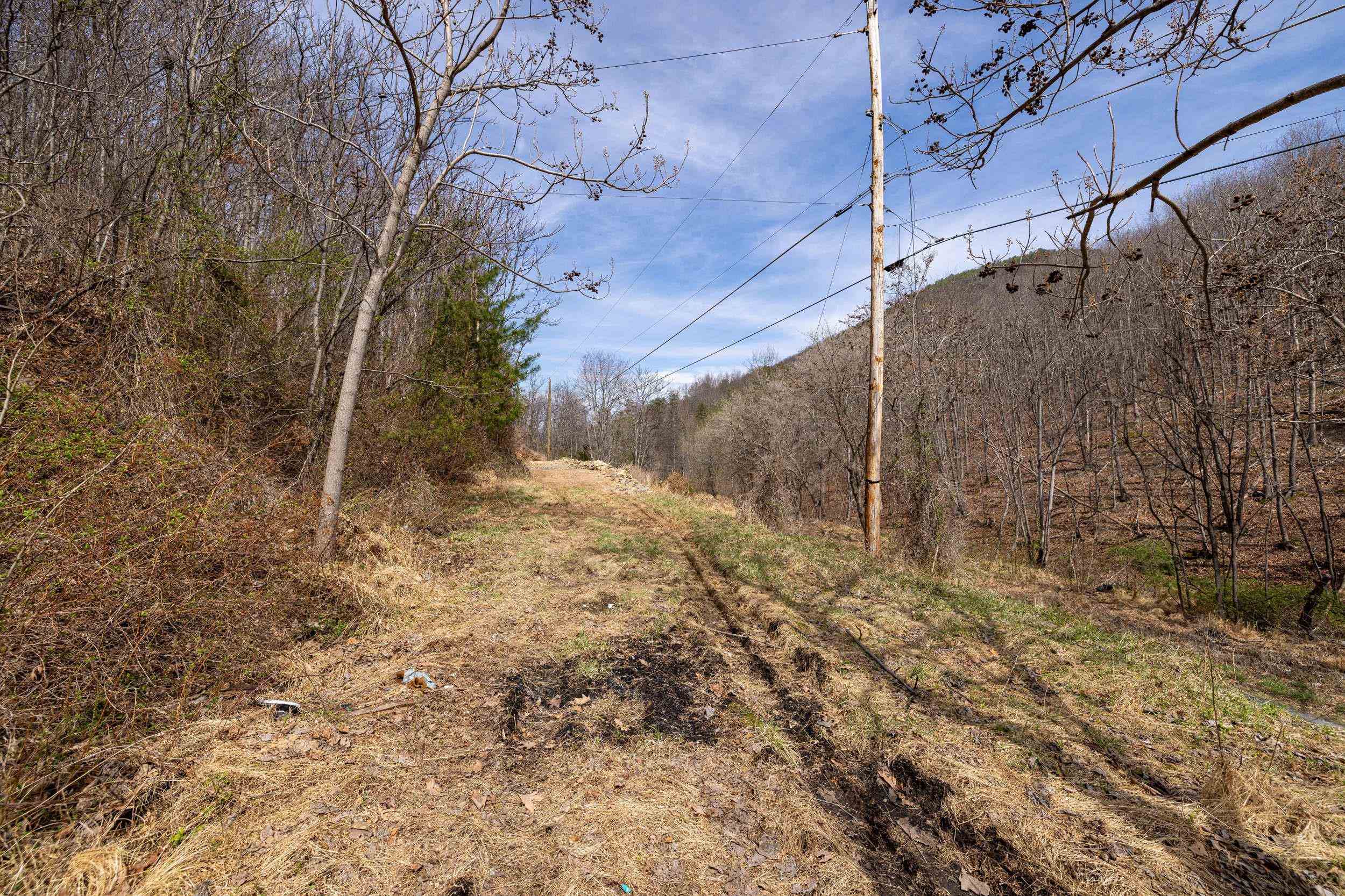 2382 LUCAS HOLLOW RD, STANLEY, Virginia 22851, ,Land,2382 LUCAS HOLLOW RD,674651 MLS # 674651