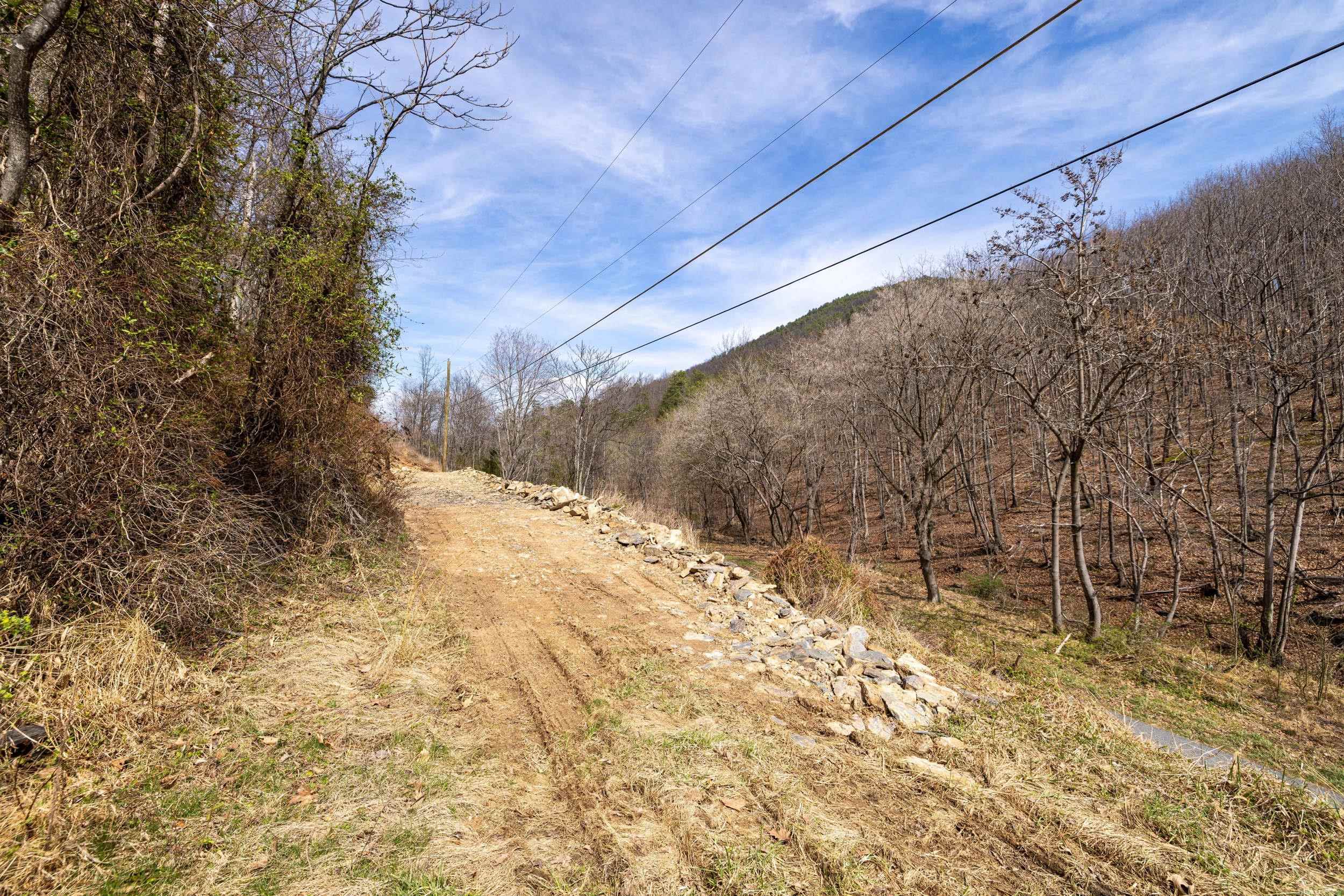 2382 LUCAS HOLLOW RD, STANLEY, Virginia 22851, ,Land,2382 LUCAS HOLLOW RD,674651 MLS # 674651