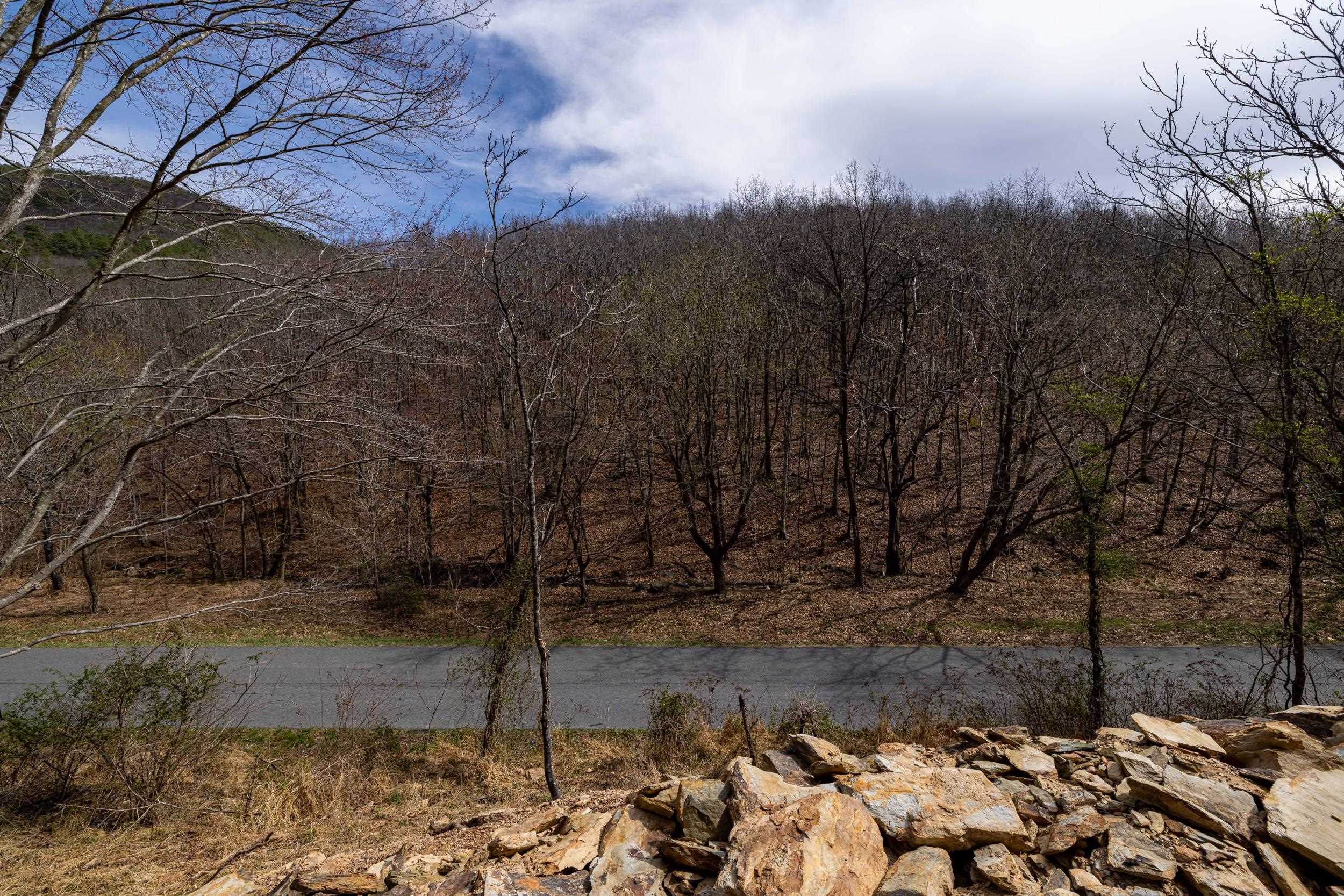 2382 LUCAS HOLLOW RD, STANLEY, Virginia 22851, ,Land,2382 LUCAS HOLLOW RD,674651 MLS # 674651