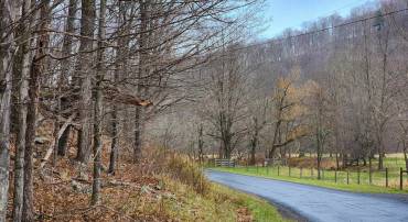 TBD JACK MOUNTAIN RD, DOE HILL, Virginia 24433, ,Land,TBD JACK MOUNTAIN RD,674667 MLS # 674667