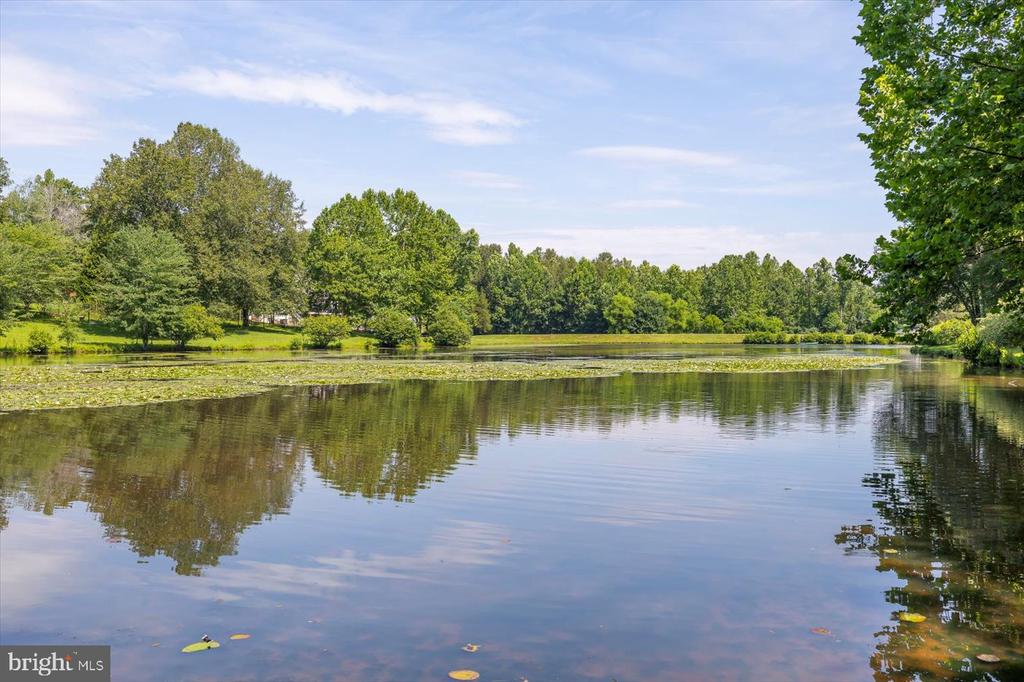 6360 TENNIS CT, BOSTON, Virginia 22713, 6 Bedrooms Bedrooms, ,6 BathroomsBathrooms,Residential,6360 TENNIS CT,VACU2013038 MLS # VACU2013038