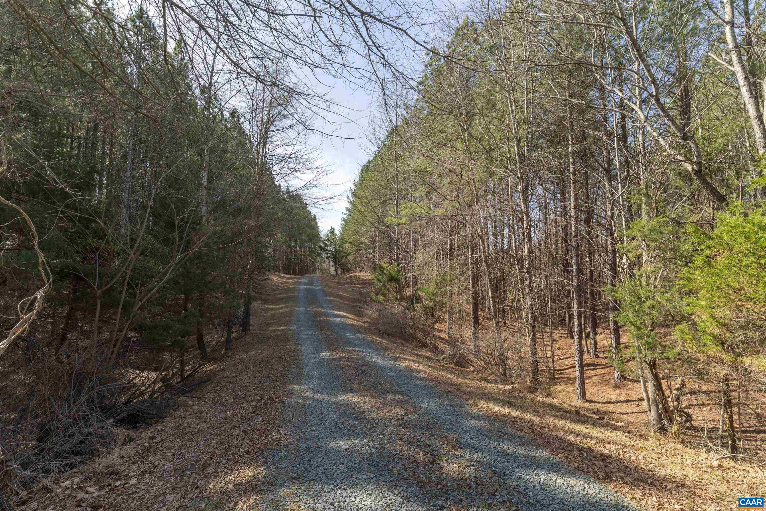 2508 THOMAS JEFFERSON PKWY, CHARLOTTESVILLE, Virginia 22902, 3 Bedrooms Bedrooms, ,2 BathroomsBathrooms,Residential,2508 THOMAS JEFFERSON PKWY,674653 MLS # 674653