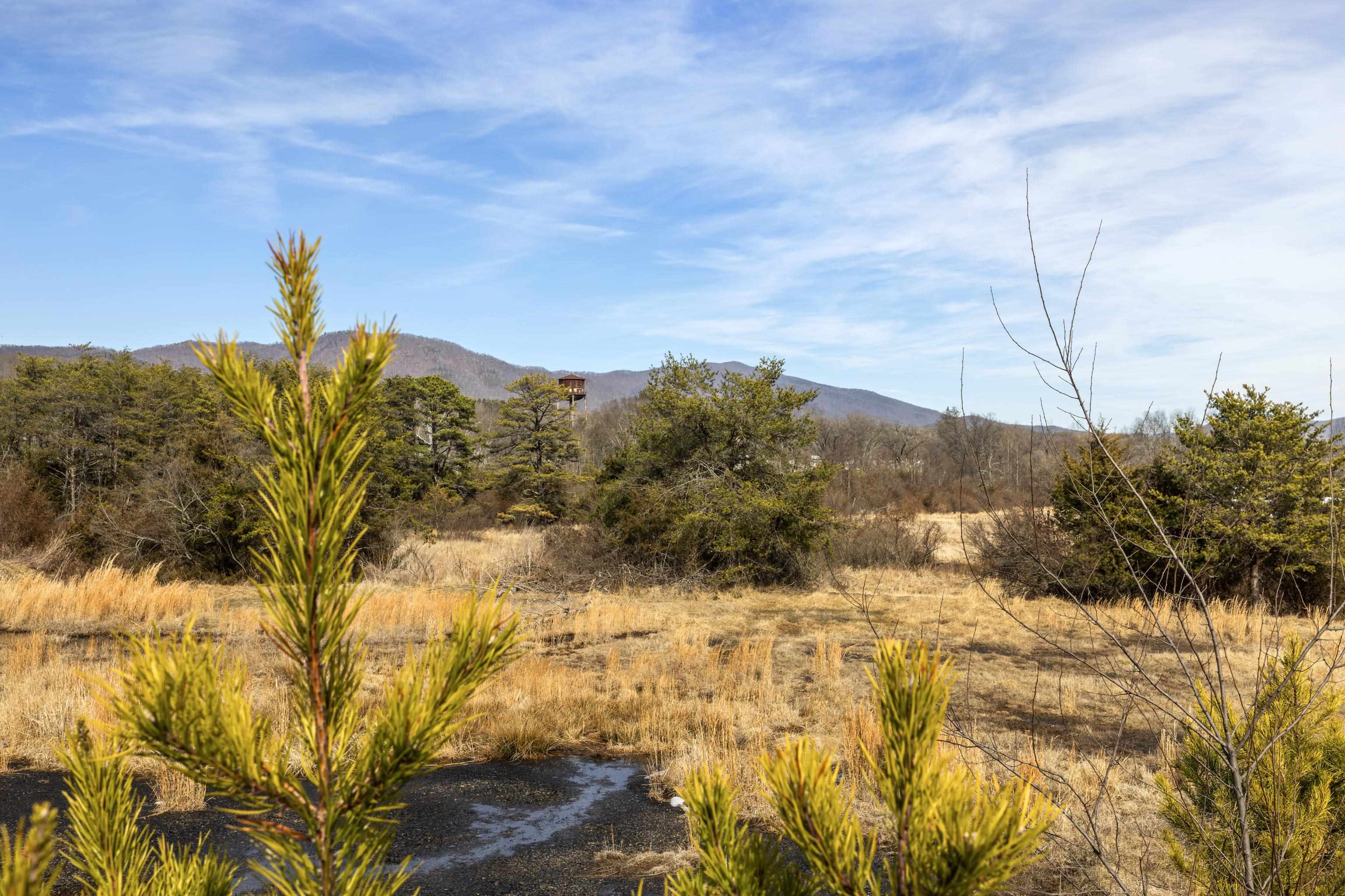 493 RAILROAD AVE, CRAIGSVILLE, Virginia 24430, 2 Bedrooms Bedrooms, ,1 BathroomBathrooms,Residential,493 RAILROAD AVE,674665 MLS # 674665 493 RAILROAD AVE, CRAIGSVILLE, Virginia 24430, 2 Bedrooms Bedrooms, ,1 BathroomBathrooms,Residential,493 RAILROAD AVE,674665 MLS # 674665