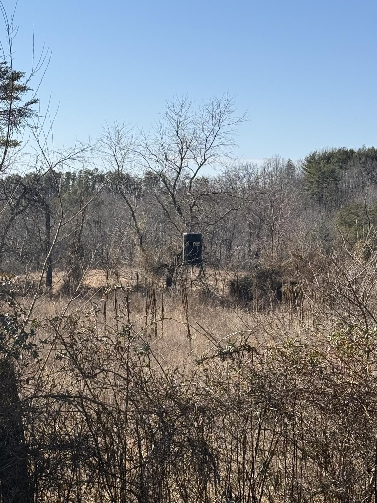 493 RAILROAD AVE, CRAIGSVILLE, Virginia 24430, 2 Bedrooms Bedrooms, ,1 BathroomBathrooms,Residential,493 RAILROAD AVE,674665 MLS # 674665 493 RAILROAD AVE, CRAIGSVILLE, Virginia 24430, 2 Bedrooms Bedrooms, ,1 BathroomBathrooms,Residential,493 RAILROAD AVE,674665 MLS # 674665