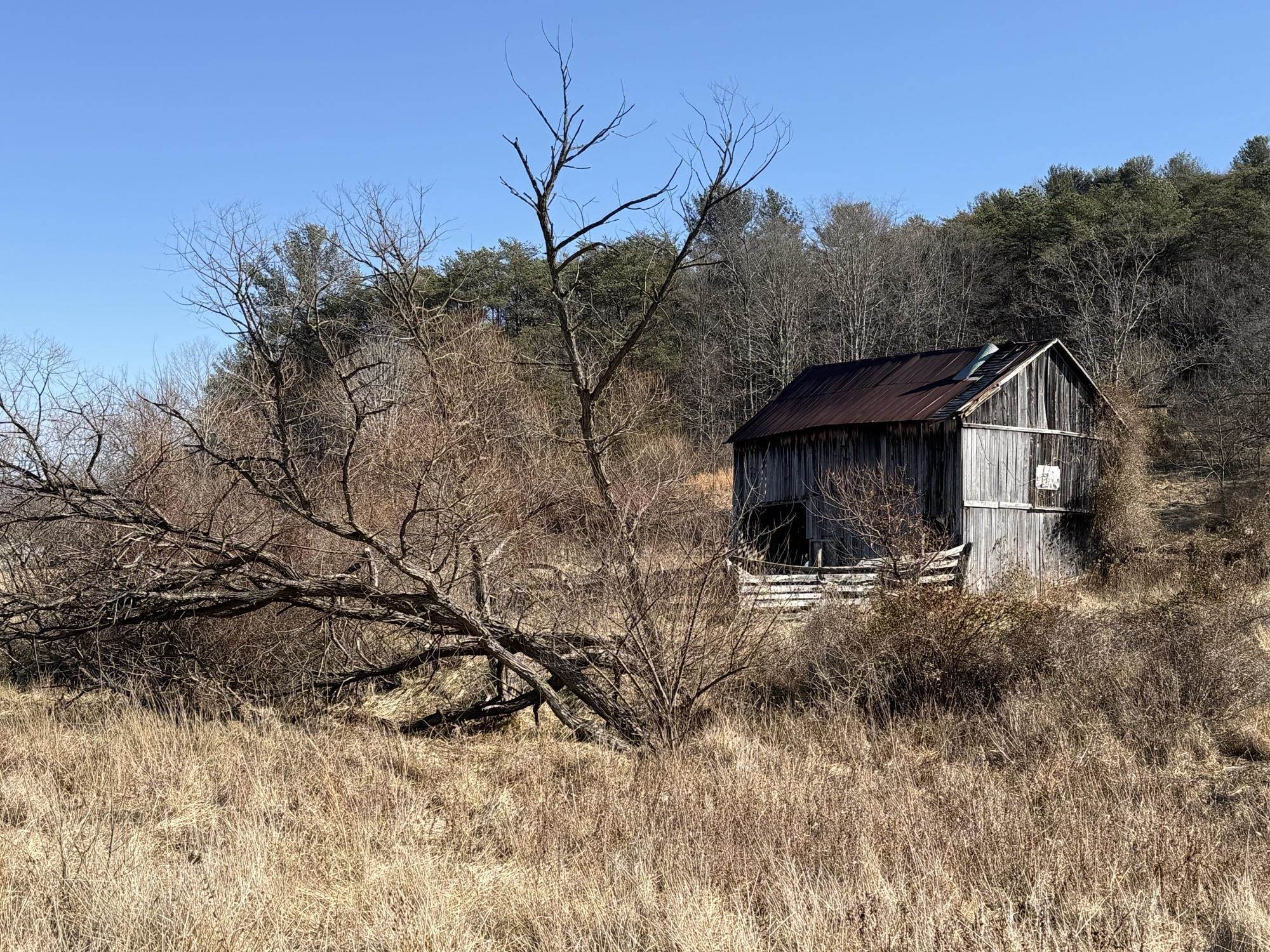 493 RAILROAD AVE, CRAIGSVILLE, Virginia 24430, 2 Bedrooms Bedrooms, ,1 BathroomBathrooms,Residential,493 RAILROAD AVE,674665 MLS # 674665 493 RAILROAD AVE, CRAIGSVILLE, Virginia 24430, 2 Bedrooms Bedrooms, ,1 BathroomBathrooms,Residential,493 RAILROAD AVE,674665 MLS # 674665