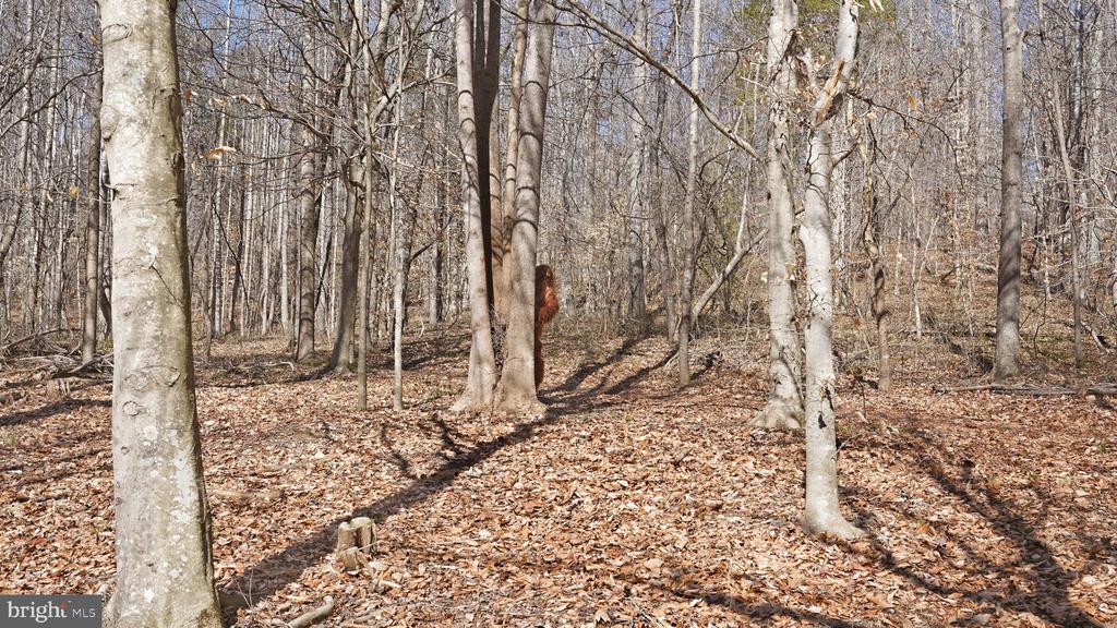 MARQUIS RD, ORANGE, Virginia 22960, ,Land,MARQUIS RD,VAOR2013550 MLS # VAOR2013550