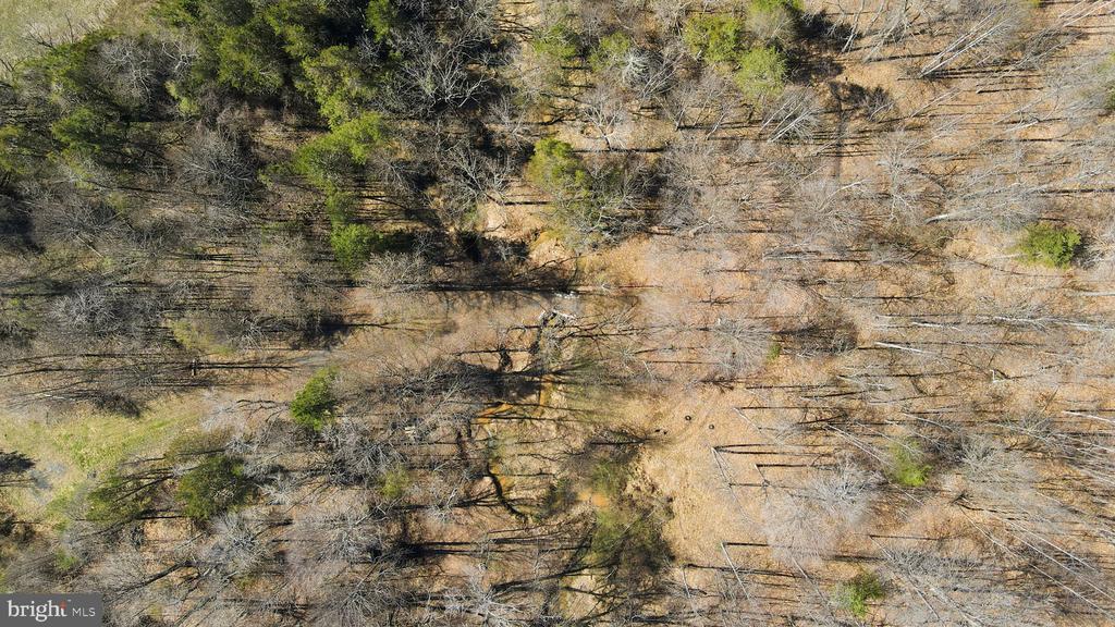 MARQUIS RD, ORANGE, Virginia 22960, ,Land,MARQUIS RD,VAOR2013550 MLS # VAOR2013550