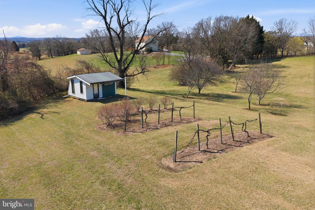 13403 LOST WALNUT LN, CULPEPER, Virginia 22701, 3 Bedrooms Bedrooms, ,3 BathroomsBathrooms,Residential,13403 LOST WALNUT LN,VACU2013006 MLS # VACU2013006