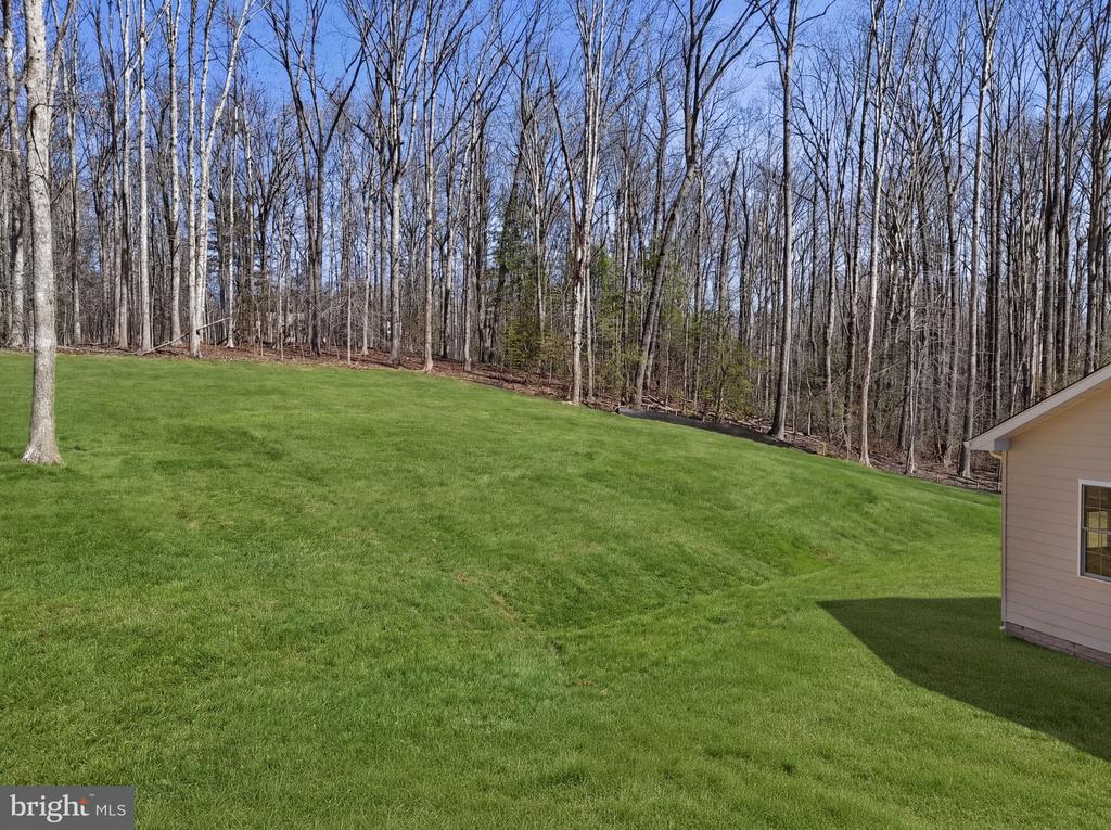 15421 QUAIL RIDGE DR, AMISSVILLE, Virginia 20106, 4 Bedrooms Bedrooms, ,3 BathroomsBathrooms,Residential,15421 QUAIL RIDGE DR,VACU2013028 MLS # VACU2013028