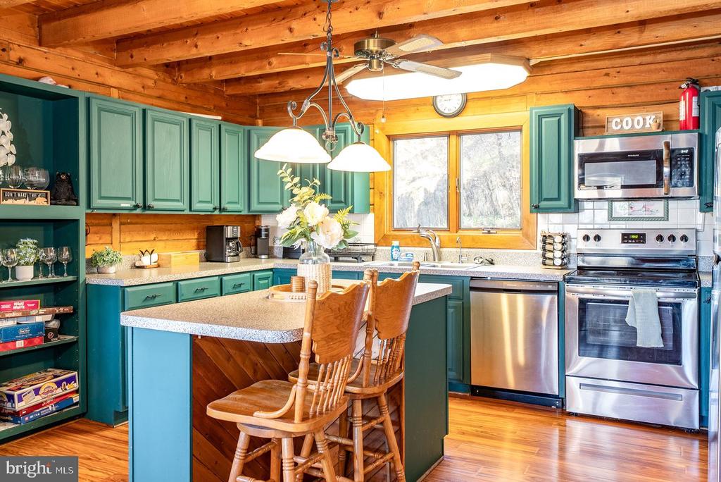 1660 CANOE RIVER DR, RILEYVILLE, Virginia 22650, 3 Bedrooms Bedrooms, ,3 BathroomsBathrooms,Residential,1660 CANOE RIVER DR,VAPA2006164 MLS # VAPA2006164