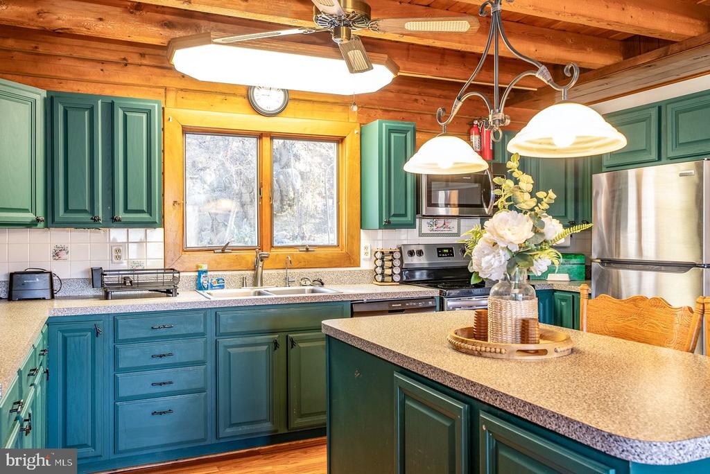 1660 CANOE RIVER DR, RILEYVILLE, Virginia 22650, 3 Bedrooms Bedrooms, ,3 BathroomsBathrooms,Residential,1660 CANOE RIVER DR,VAPA2006164 MLS # VAPA2006164