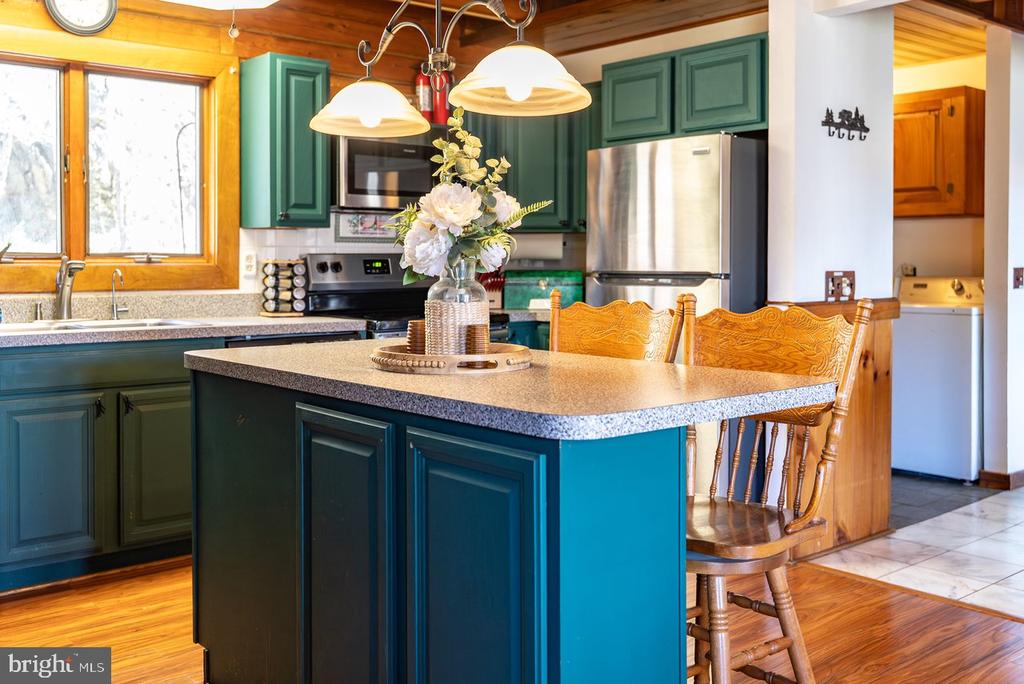 1660 CANOE RIVER DR, RILEYVILLE, Virginia 22650, 3 Bedrooms Bedrooms, ,3 BathroomsBathrooms,Residential,1660 CANOE RIVER DR,VAPA2006164 MLS # VAPA2006164