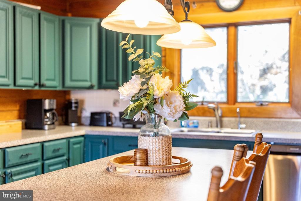 1660 CANOE RIVER DR, RILEYVILLE, Virginia 22650, 3 Bedrooms Bedrooms, ,3 BathroomsBathrooms,Residential,1660 CANOE RIVER DR,VAPA2006164 MLS # VAPA2006164