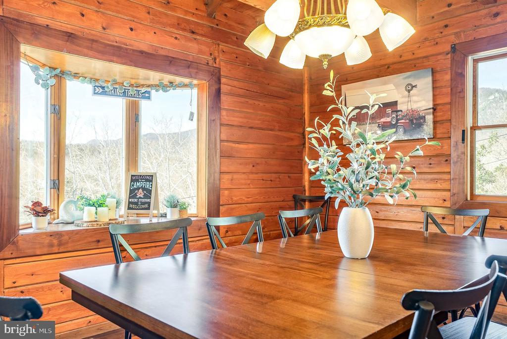 1660 CANOE RIVER DR, RILEYVILLE, Virginia 22650, 3 Bedrooms Bedrooms, ,3 BathroomsBathrooms,Residential,1660 CANOE RIVER DR,VAPA2006164 MLS # VAPA2006164